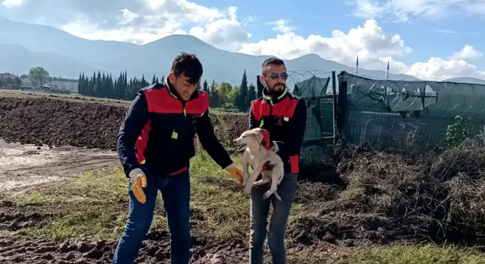 Çukura düşen yavru köpeği A Takımı kurtardı